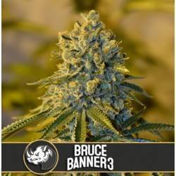 Bruce Banner 3 · Blimburn...