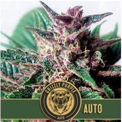 Grizzly Purple Auto ·...