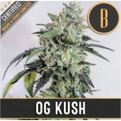 OG Kush · Blimburn Seeds