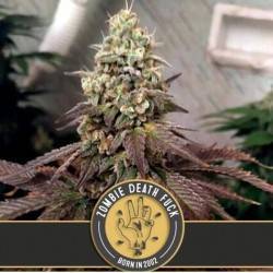 Zombie Death Fuck ·...